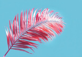 Vivid coral palm frond against a bright, serene blue sky backdrop