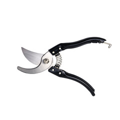 Pruning shears for trimming tree branches and maintaining a garden on an isolated background. Pruning shears on a white background