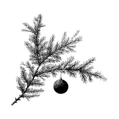 Detailed sketch of a pine tree branch with a hanging ornament in monochrome style on white background, concept of vintage holiday decoration
