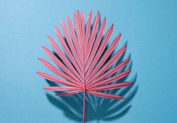 Pink palm leaf casting shadow against blue background, tropical aesthetic