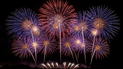 Colorful festive fireworks exploding in the dark night sky celebration