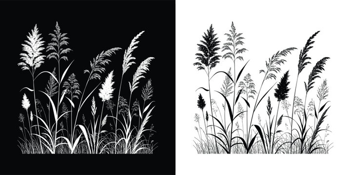 Serene reed bed illustration, showcasing the beauty of natures flora isolated on white background, perfect for adding a touch of tranquility to designs
