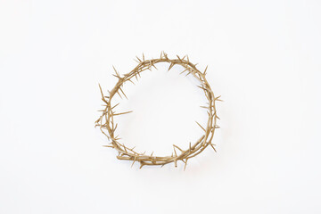 Fototapeta premium Crown of Thorns isolated on a white background