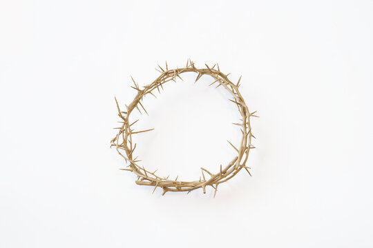 Crown of Thorns isolated on a white background