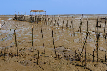 Minimalist landscape of wooden poles and stakes sticking out of the mudflats at low tide in the Sado Estuary, Palafita da Carrasqueira.