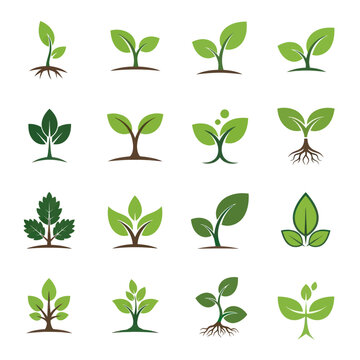 Collection of Green Plant Sprouts and Seedlings for Growth Concepts.