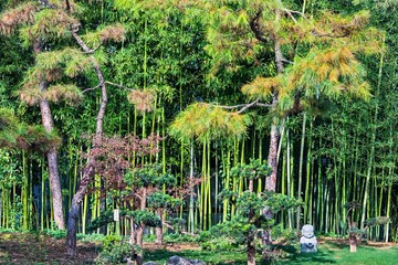 Asia, China, Xi'an, Great Wild Goose Pagoda,, green grass and flowers, bamboo garden