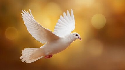 Fototapeta premium Holy Spirit white dove with open wings in golden aura, religious symbolism, spiritual representation, divine presence visualization, sacred spirit imagery, with copy space