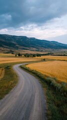 Winding Dirt Road Through Golden Fields in Scenic Mountain Landscape