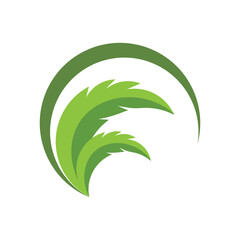 Green leaf logo design