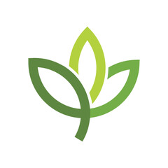 Green leaf logo design