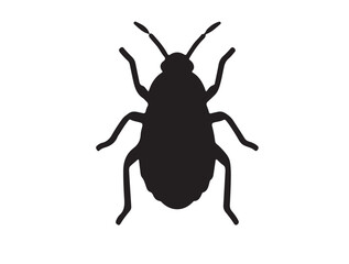 Aphid in silhouette white background.