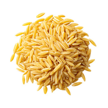 A close-up view of yellow orzo pasta, isolated on a white background, showcasing its unique shape and texture.