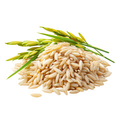 Obraz premium A generous pile of raw rice grains accompanied by fresh rice plant stalks, isolated on a white background, perfect for culinary themes.