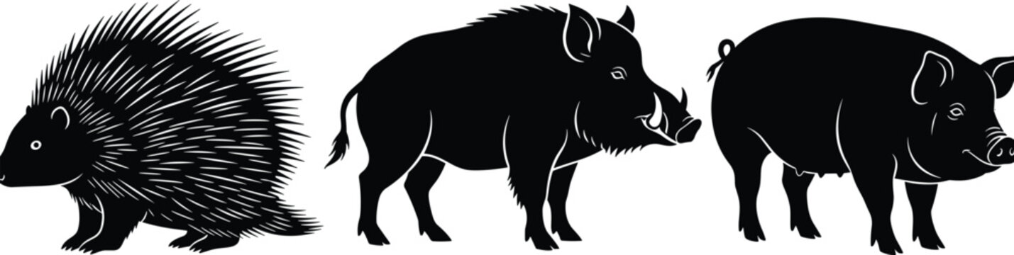 Black silhouette collection of a prickly porcupine wild forest boar and a domestic farm pig isolated on a white background