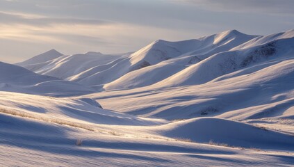 Soft Golden Light Illuminates Undulating Snow Dunes and Arctic Peaks.