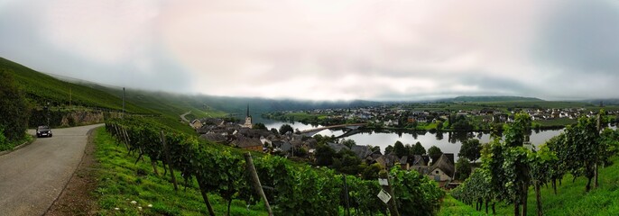 Panoramablick auf das Wein&ouml;rtchen Piesport an der Mosel, Rheinland-Pfalz, Deutschland