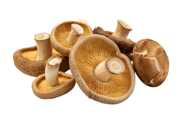 Mushrooms in earthy tone with soft natural lighting on white background for culinary use