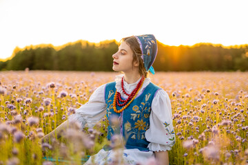 Kaszubka przy zachodzie słońca na polu facelii