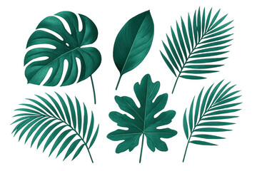 Fototapeta premium Tropical green exotic leaves collection illustrating monstera, palm fronds, and other botanical foliage on a transparent background