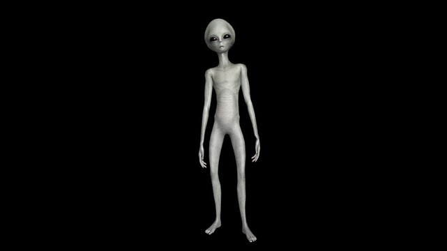 Cinematic Super-Realistic Gray Alien 3D Motion Pack with Advanced Humanoid Gestures, Subtle Behavioral Animation, High-End Sci-Fi Movement Design, Professional Production Quality