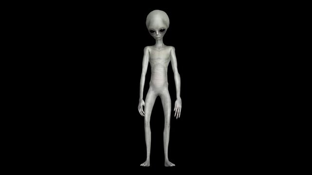 Professional 3D Gray Alien Movement Library Featuring Hyper-Realistic Humanoid Animation, Intelligent Gesture Systems, Anatomically Plausible Motion Design, Cinematic Sci-Fi Performance Capture.