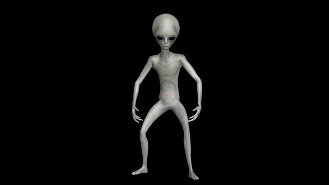Professional 3D Gray Alien Movement Library Featuring Hyper-Realistic Humanoid Animation, Intelligent Gesture Systems, Anatomically Plausible Motion Design, Cinematic Sci-Fi Performance Capture.