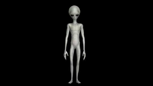 Professional 3D Gray Alien Movement Library Featuring Hyper-Realistic Humanoid Animation, Intelligent Gesture Systems, Anatomically Plausible Motion Design, Cinematic Sci-Fi Performance Capture.