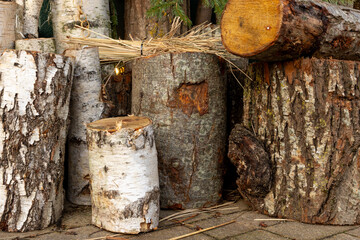 Fototapeta premium Tree logs with rough bark and chopped wood arranged on stone pavement. Natural timber texture.