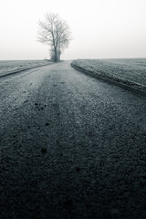 Kręta droga pod górę w mroźny poranek z samotnym drzewem © Elżbieta Kaps