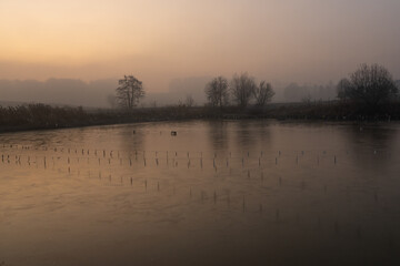 Mglisty zimowy wschód słońca nad stawem © Elżbieta Kaps