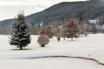 Snow on golf course landscape in winter with forest in background, copy space