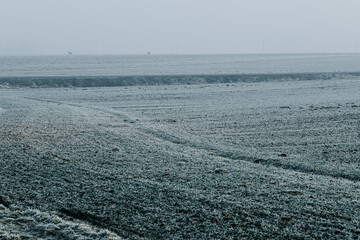 Mglisty zimowy poranek nad polami w szronie © Elżbieta Kaps