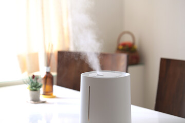 冬の時期に空気の乾燥から部屋を守る加湿器