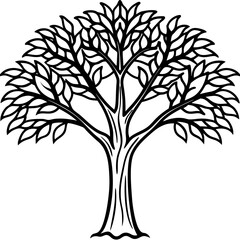 Obraz premium Locust tree line art vector