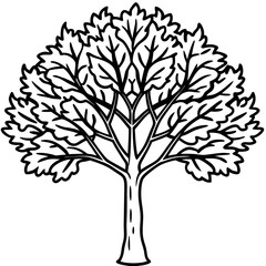 Obraz premium Locust tree line art vector