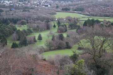 Naklejka premium landscape in the countryside