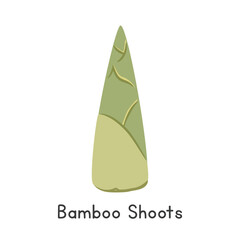 Bamboo Shoot Vector Illustration. Bamboo Shoot or Bamboo Sprout Cartoon Clipart, Vegetable in Flat Style. Also called Takenoko, Phyllostachys edulis, or Bambusa vulgaris. Stem and Shoot, Vegetable