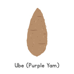 Ube (Purple Yam) Vector Illustration. Ube or Purple Yam Cartoon Clipart, Vegetable in Flat Style. Also called Ubi, Greater Yam, or Dioscorea alata. Tuber, Vegetable Concept. Common Vegetable Vector