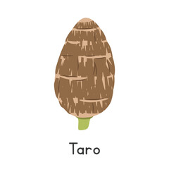 Taro Vector Illustration. Taro Cartoon Clipart, Vegetable in Flat Style. Also called Dasheen, Eddoe, Cocoyam, or Colocasia esculenta. Tuber, Root Vegetable Concept. Common Vegetable Vector Design