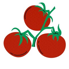 Vector illustration of tomatoes in flat, doodle, minimalist style. Simple hand-drawn food design with tomato fruits, slices, and branches. Perfect for kitchen decor, packaging, menus, and healthy food
