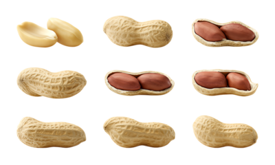 Realistic peanut with shell and kernel in different forms isolated on transparent background