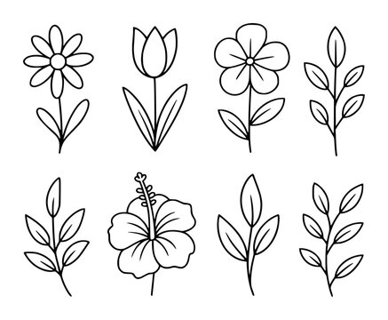 Simple black outline floral including daisy tulip hibiscus and leafy branches editable minimal