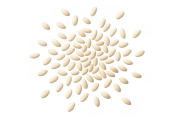 White rice grains falling, scattering, flying, exploding. Raw uncooked food ingredients or seeds on transparent background