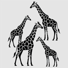 Giraffe silhouette