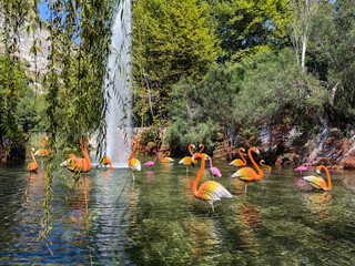 Vibrant Display of Orange and Pink Flamingo Statues in a Lush Green Pond with a Tall Water Fountain and Overhanging Willow Branches