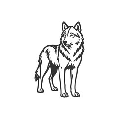 Wolf Vector Night Ember Twist