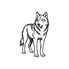 Wolf Vector Night Ice Motion