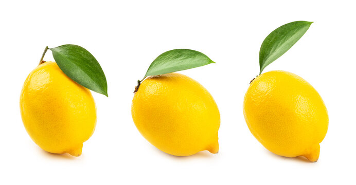 Lemon isolated on white background. Lemon fruits with a slice. Fresh lemon fruits with citrus leaves. Lemon juice. Pattern. Space for text.