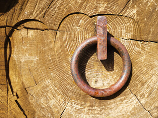 Hebilla en la madera